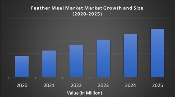 Feather Meal Market